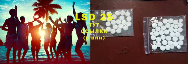 стаф Вязьма