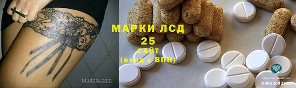 стаф Вязьма