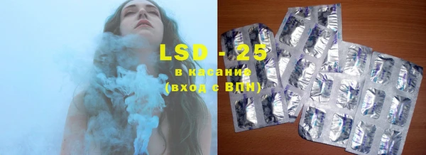 стаф Вязьма