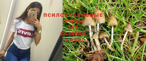 мяу мяу мука Вязники