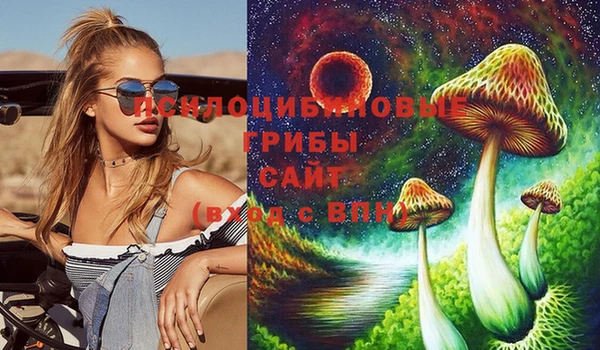 стаф Вязьма