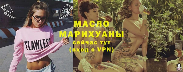 стаф Вязьма