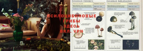 мяу мяу мука Вязники