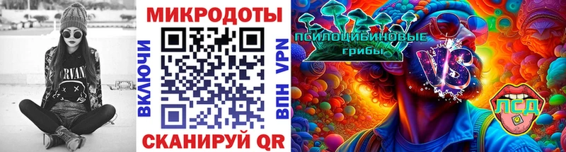 Купить закладки  Кохма  Псилоцибиновые грибы прущие грибы 
